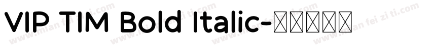 VIP TIM Bold Italic字体转换